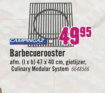 Hornbach Campingaz Barbecuerooster aanbieding