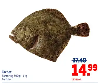 Makro Tarbot aanbieding