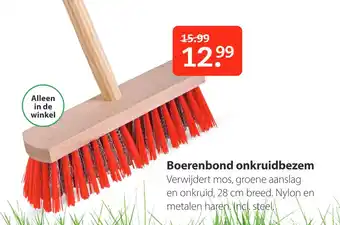 Pets Place Boerenbond onkruidbezem 28 cm aanbieding