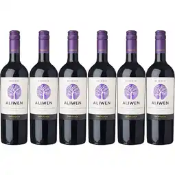 Albert Heijn Aliwen Cabernet sauvignon carménère 6-pack aanbieding