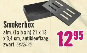 Hornbach Smokerbox 21x13x3.4cm aanbieding