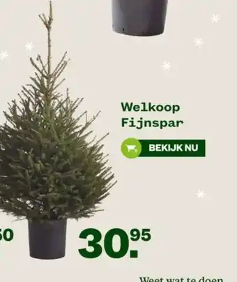 Welkoop Welkoop fijnspar aanbieding