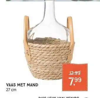 Xenos Vaas Met Mand 27 Cm aanbieding