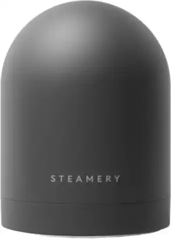 Bol.com Steamery Stockholm kledingstomers zwart NVT maat ONE SIZE aanbieding