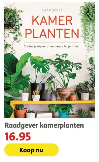 Bruna Raadgever kamerplanten aanbieding