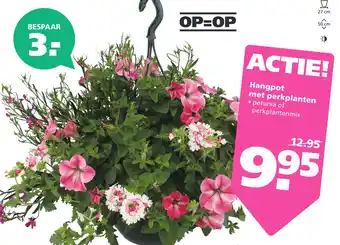 Ranzijn Hangpot met perkplanten aanbieding