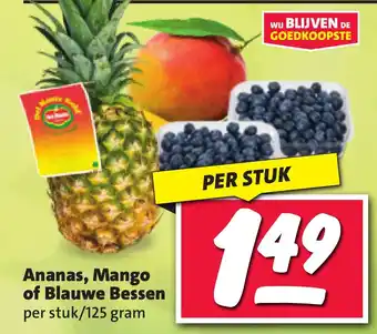 Nettorama Ananas, Mango of Blauwe Bessen aanbieding