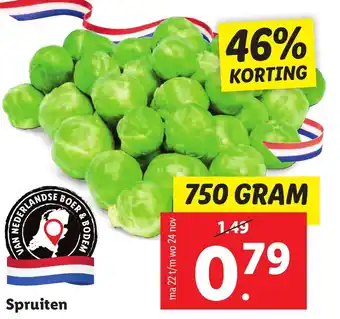 Lidl Spruiten 750g aanbieding