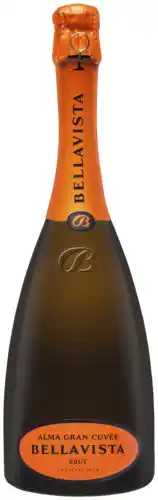 Gall & Gall Franciacorta Gran Cuvee 'Alma Orange' 75CL Mousserend aanbieding