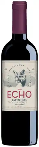 Gall & Gall Echo Carmenère 75CL Wijn aanbieding