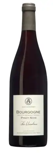 Gall & Gall JC Boisset Bourgogne Pinot Noir 75CL Wijn aanbieding