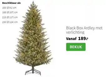 Intratuin Black Box Ardley met verlichting aanbieding
