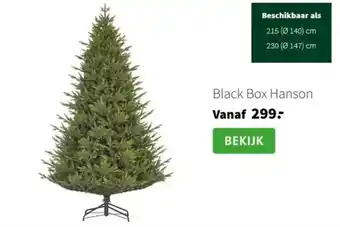 Intratuin Black Box Hanson aanbieding