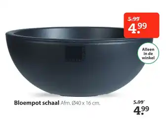 Pets Place Bloempot schaal 40x16 cm aanbieding