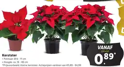 Lidl Kerstster aanbieding