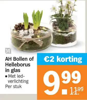 Albert Heijn AH Bollen of Helleborus in glas aanbieding