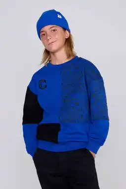 Wehkamp Coolcat Colourblock Sweater Nathan met Print Blauw aanbieding