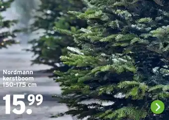 GAMMA Nordmann kerstboom aanbieding