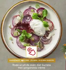 Lidl Rode ui uit de oven met burrata met gorgonzola crème aanbieding