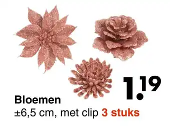 Wibra Bloemen 6,5cm aanbieding