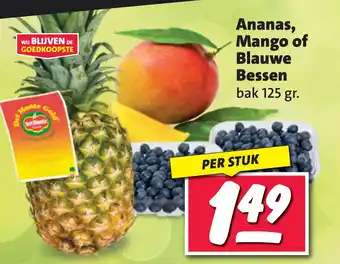 Nettorama Ananas mango of blauwe bessen aanbieding