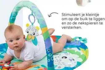 Prenatal PLAYGRO MIGHTY MILESTONE SPEELKLEED aanbieding