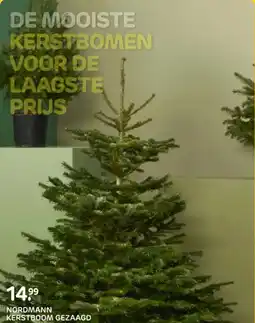 Praxis NORDMANN KERSTBOOM GEZAAGD aanbieding