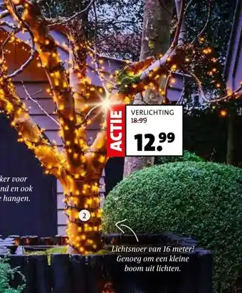Intratuin VERLICHTING aanbieding