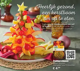 Dirk Fruitkerstboom 750g aanbieding