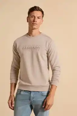 Wehkamp GABBIANO sweater taupe aanbieding