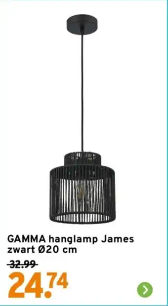 GAMMA GAMMA hanglamp James zwart aanbieding