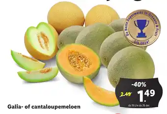 Lidl Galia of cantaloupemeloen aanbieding