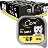 Bol.com Cesar Hondenvoer Classic - Kip in Paté - Maaltijdkuipjes 10x300g aanbieding