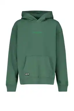 Wehkamp America Today hoodie groen aanbieding