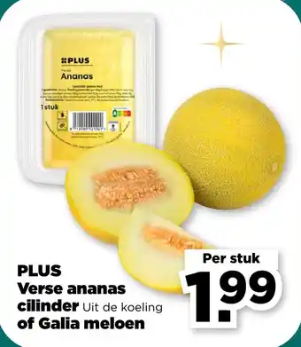 PLUS Plus verse ananas cilinder of galia meloen aanbieding