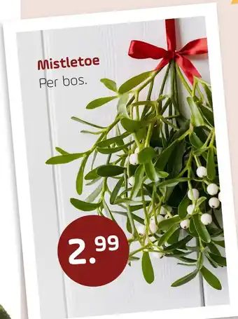 Coppelmans Mistletoe aanbieding