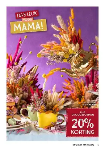 Xenos Alle Droogbloemen 20% Korting aanbieding