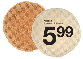 Zeeman Kussen aanbieding