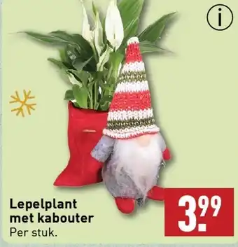 ALDI Lepelplant met kabouter aanbieding