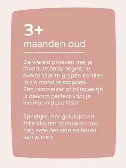 Prenatal 3+ maanden oud aanbieding