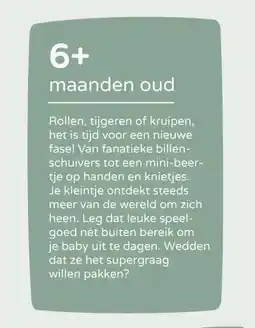 Prenatal 6+ maanden oud aanbieding