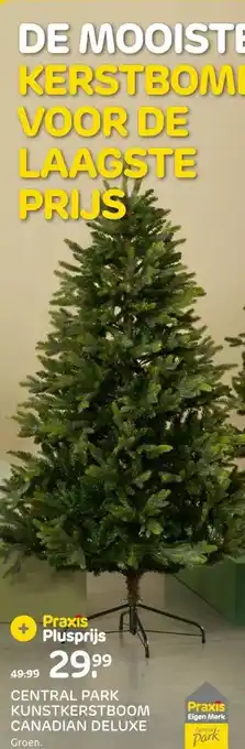 Praxis CENTRAL PARK KUNSTKERSTBOOM CANADIAN DELUXE aanbieding