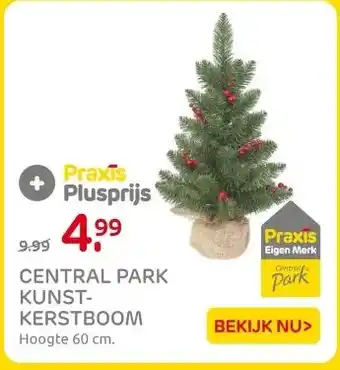 Praxis CENTRAL PARK KUNST- KERSTBOOM aanbieding