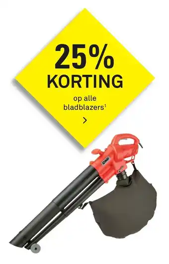 Karwei Bladblazers aanbieding