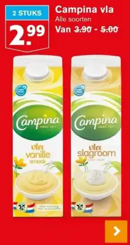 Hoogvliet Campina vla aanbieding