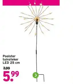 GAMMA Poolster tuinsteker LED 25 cm aanbieding