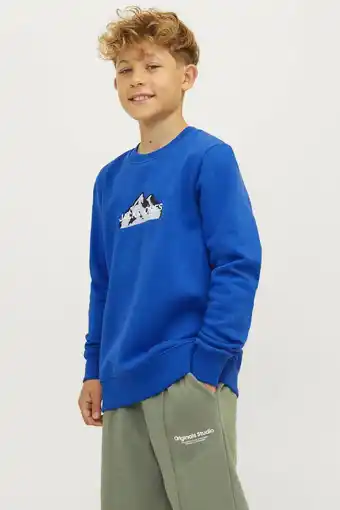 Wehkamp JACK & JONES JUNIOR sweater JCOMOUNTAIN met printopdruk hardblauw aanbieding