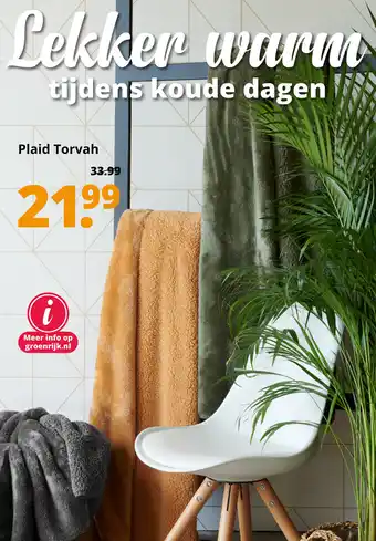 GroenRijk Plaid Torvah aanbieding