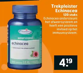 Trekpleister Trekpleister Echinacea aanbieding