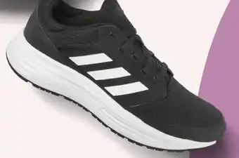 vanHaren Adidas aanbieding